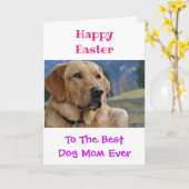Pasen Dog Mam World's Best Ever Pet Photo Kaart (Gele Bloem)