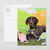 Pasen - Duitse Korthaar Pointer - Kaiser Feestdagenkaart (Voorkant / Achterkant)