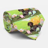 Pasen - Duitse Shorthair Pointer - Kaiser Stropdas (Opgerold)