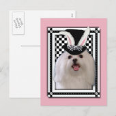 Pasen - Één of ander Konijntje houdt van u - Feestdagenkaart (Voorkant / Achterkant)