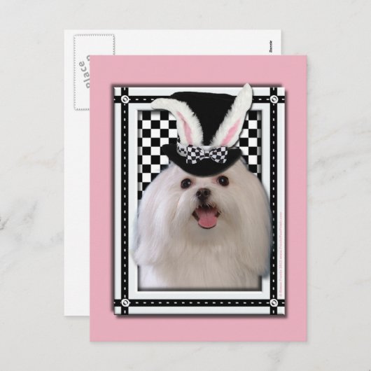 Pasen - Één of ander Konijntje houdt van u - Feestdagenkaart (Voorkant / Achterkant)