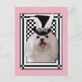 Pasen - Één of ander Konijntje houdt van u - Feestdagenkaart (Voorkant)