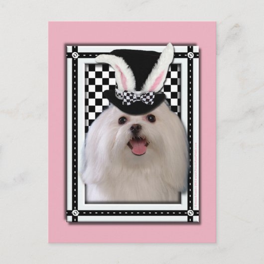 Pasen - Één of ander Konijntje houdt van u - Feestdagenkaart (Voorkant)