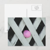 Pasen Egg Hunt Feestdagenkaart (Voorkant / Achterkant)