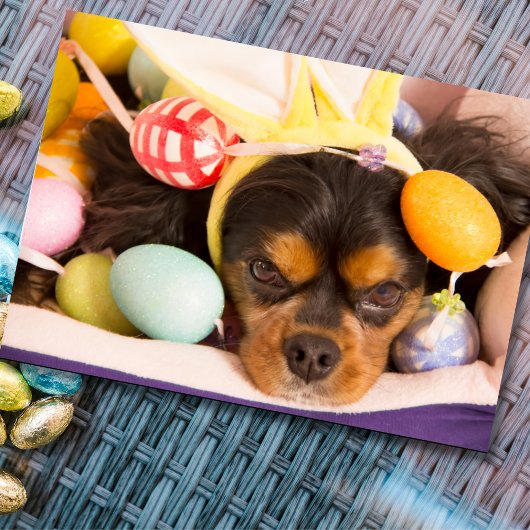 Pasen Eieren Cavalier King Charles Spaniel Kaart