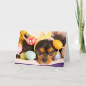 Pasen Eieren Cavalier King Charles Spaniel Kaart (Voorkant)