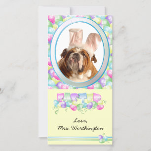 Pasen fotokaarten voor uw huisdieren! feestdagenkaart