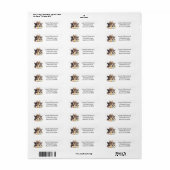 Pasen Franse Bulldogs Etiket (Full Sheet)