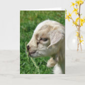 Pasen geitje Bloem Kaart (Gele Bloem)