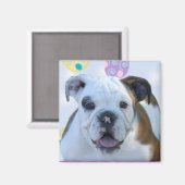 Pasen groeten bulldog magneet (Voorkant / Achterkant)