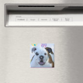 Pasen groeten bulldog magneet (Insitu (Vaatwasser))