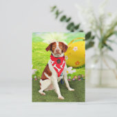 Pasen - het Spaniel van Bretagne - Elliott Feestdagenkaart (Staand voorkant)