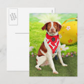 Pasen - het Spaniel van Bretagne - Elliott Feestdagenkaart (Voorkant / Achterkant)