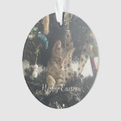 Pasen Huisdier Foto Script Naam Ornament (voorkant)