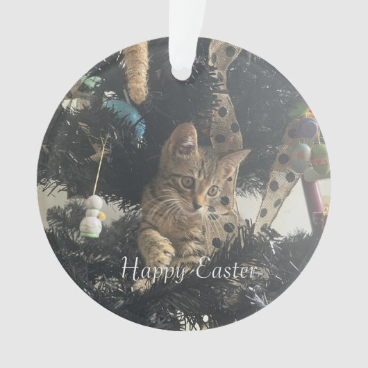 Pasen Huisdier Foto Script Naam Ornament (voorkant)