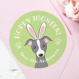 Pasen Italiaans Greyhound Dog Cute Bunny oren Gree Ronde Sticker