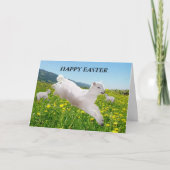 Pasen kaart met lammetjes in de lente (Voorkant)
