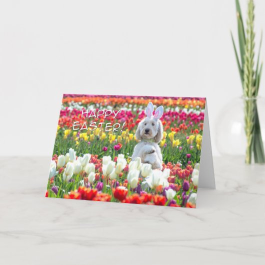 Pasen kaart met vrolijke Doodle (Voorkant)