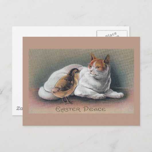 Pasen Kat en Chick Feestdagenkaart (Voorkant / Achterkant)