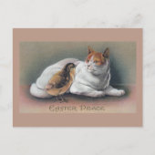 Pasen Kat en Chick Feestdagenkaart (Voorkant)