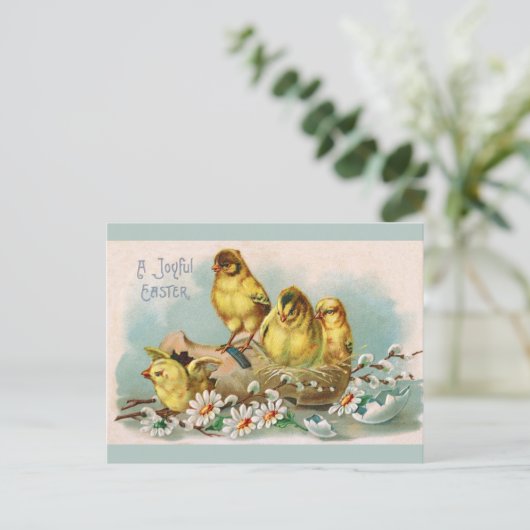 Pasen  kippen briefkaart (Staand voorkant)