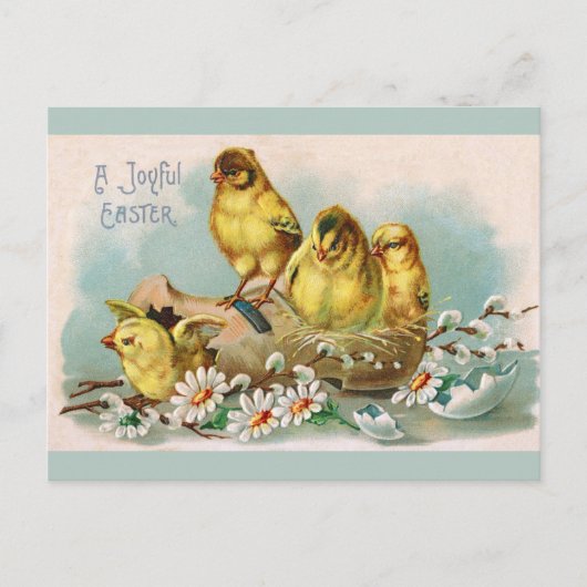 Pasen  kippen briefkaart (Voorkant)