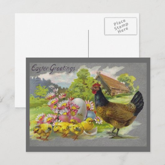 Pasen , kippen en roze Briefkaart (Voorkant / Achterkant)