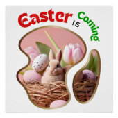 Pasen komt eraan - Schattigee Kuikens Perfect Poster (Voorkant)