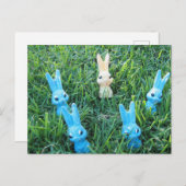 Pasen konijnen ansichtkaart feestdagenkaart (Voorkant / Achterkant)