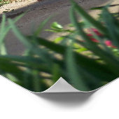 Pasen Lege Tomb van Jezus Christus Poster Foto (Hoek)