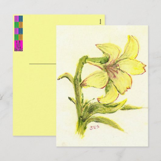 Pasen Lilly door Mamma Feestdagenkaart (Voorkant / Achterkant)