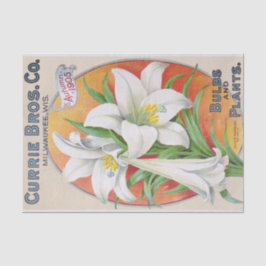 Pasen Lily 1905  Floral Weefselpapier Tissuepapier