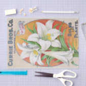 Pasen Lily 1905  Floral Weefselpapier Tissuepapier (Craft)