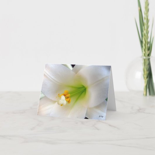 Pasen Lily Feestdagen Kaart (Voorkant)