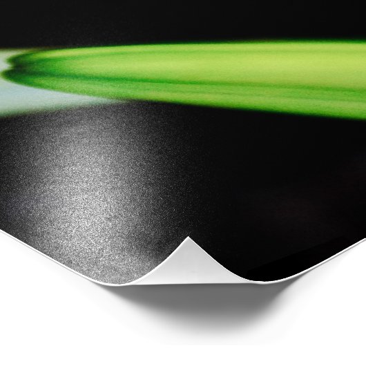 Pasen Lily Foto Afdruk (Hoek)