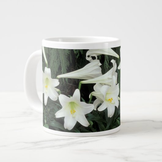Pasen Lily (Lilium regale) Grote Koffiekop (Links)