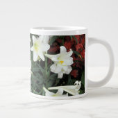 Pasen Lily (Lilium regale) Grote Koffiekop (Rechts)