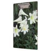 Pasen Lily (Lilium regale) Klembord (Links)