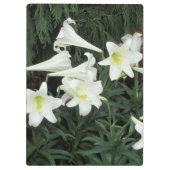 Pasen Lily (Lilium regale) Klembord (Achterkant)