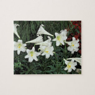 Pasen Lily (Lilium regale) Legpuzzel