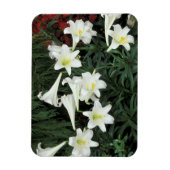 Pasen Lily (Lilium regale) Magneet (Verticaal)