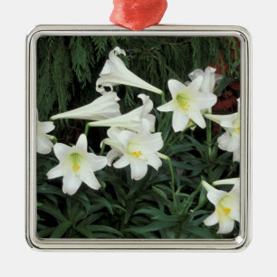 Pasen Lily (Lilium regale) Metalen Ornament