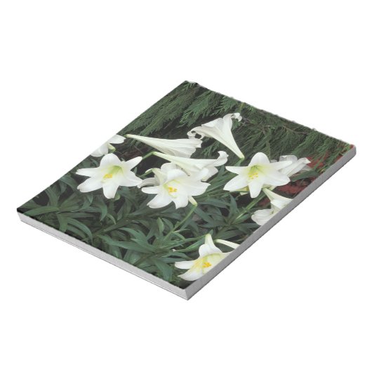 Pasen Lily (Lilium regale) Notitieblok (Linkerzijde)