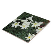 Pasen Lily (Lilium regale) Tegeltje (Zijkant)