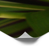 Pasen Lily Poster (Hoek)