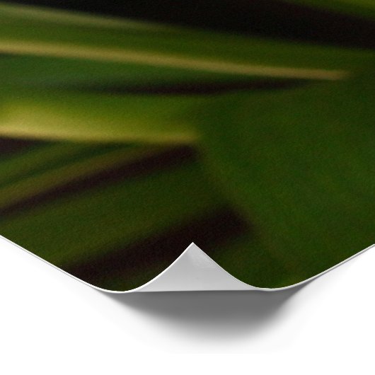 Pasen Lily Poster (Hoek)