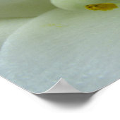 Pasen Lily Poster (Hoek)