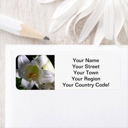 Pasen Lily White Etiket (Insitu)