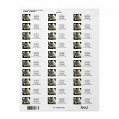 Pasen Lily White Etiket (Full Sheet)