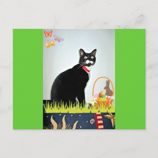 Pasen Lucy Feestdagenkaart (Voorkant)